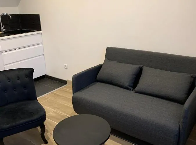 Le Petit Rougemare Hyper Centre Apartment Rouen